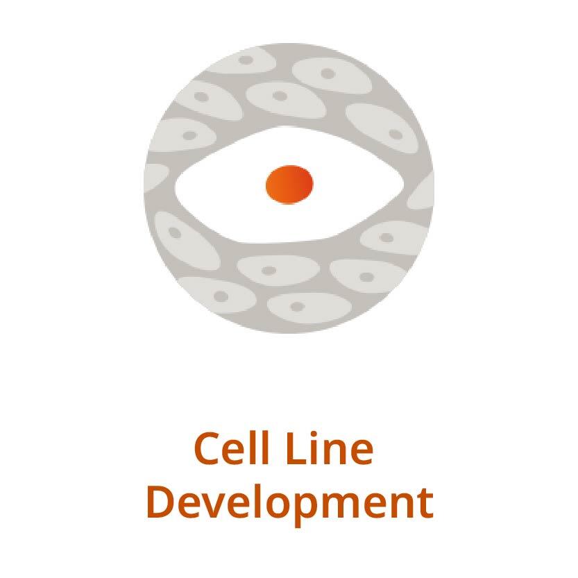 Cell-Line-Development