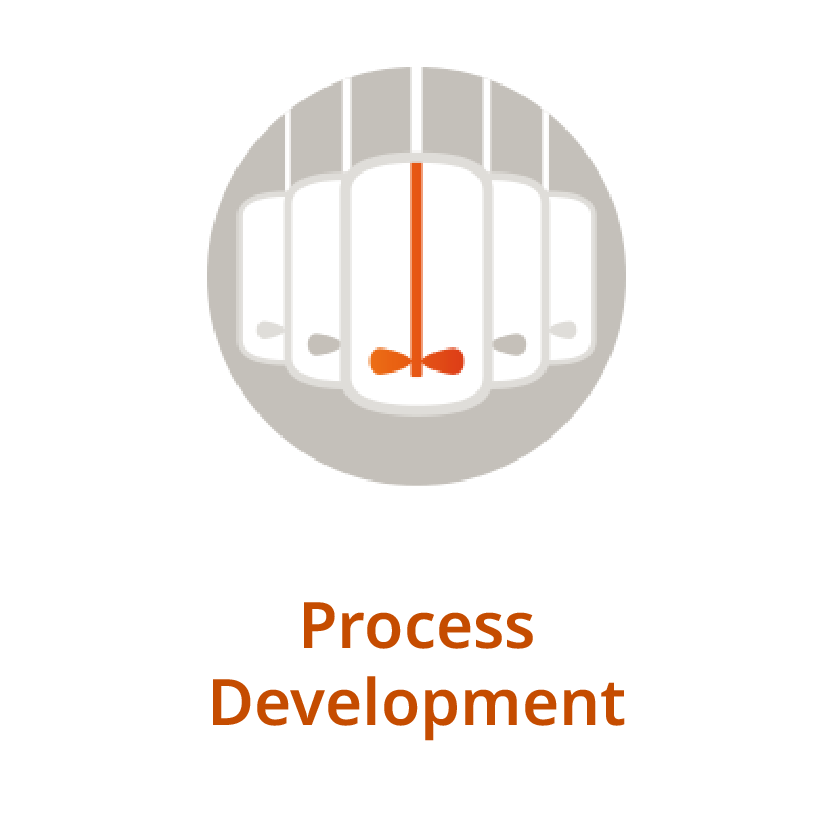 Process_Development