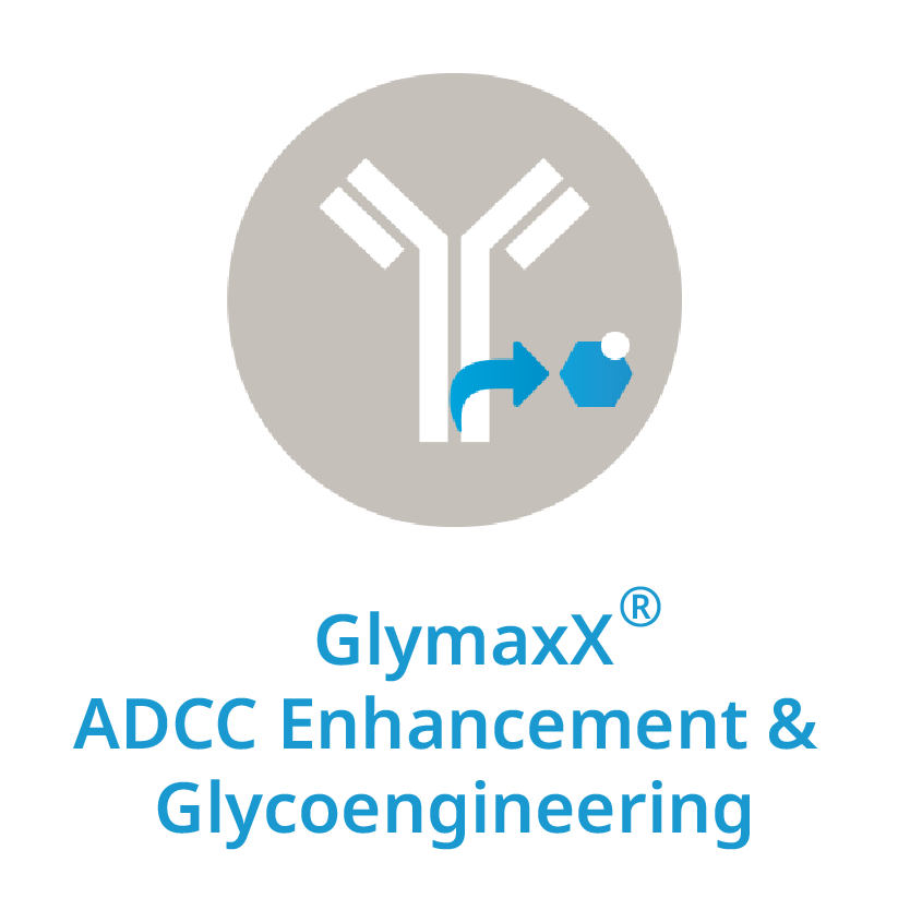 GlymaxX ADCC Enhancement & Glycoengineering